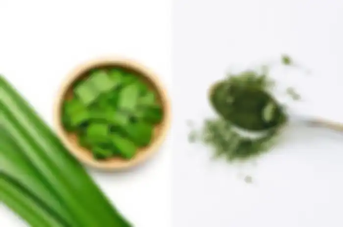manfaat daun pandan