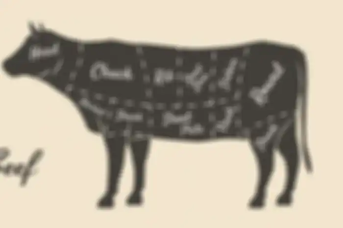 Ilustrasi bagian daging sapi yang kandungan gizinya paling tinggi