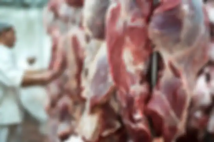 orang dengan kondisi ini baiknya menghindari konsumsi daging kambing