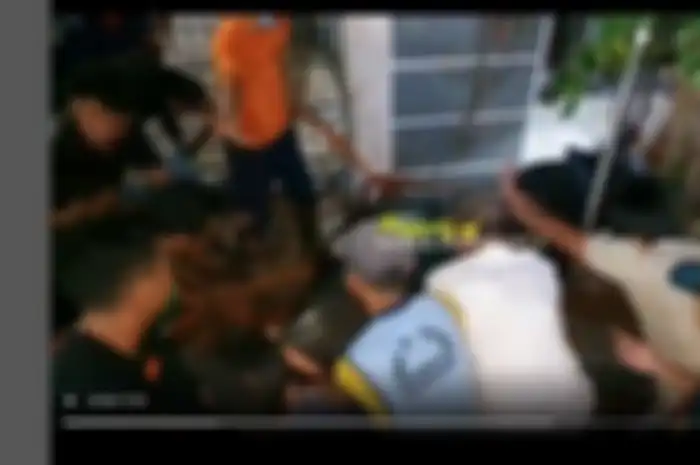 Sapi Wapres Ma'ruf Amin seberat 1 ton terperosok.