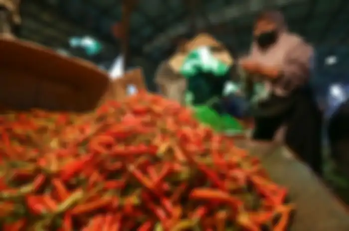 Harga cabai naik.