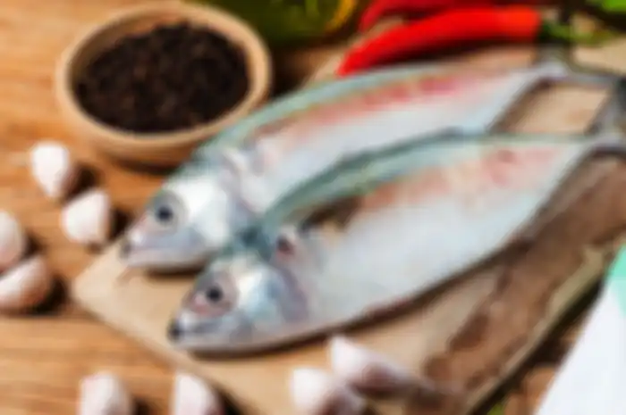 Ilustrasi Ikan
