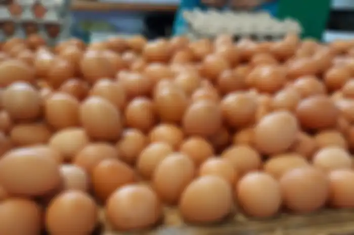 telur ayam