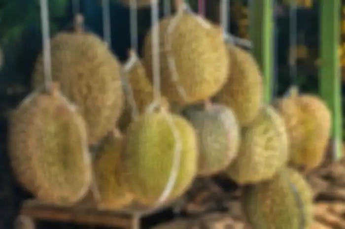 Durian