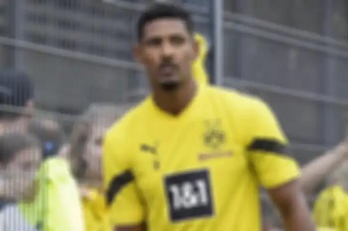 Biodata Artis Sebastien Haller