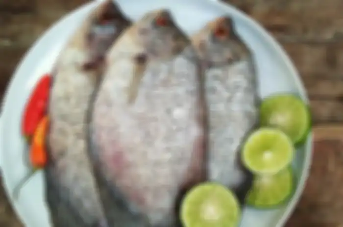Ilustrasi Ikan 