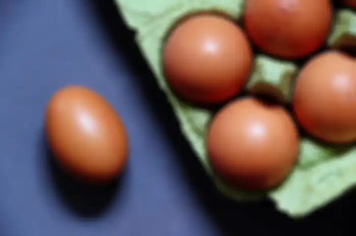 Gambar ilustrasi. Harga sembako telur ayam.