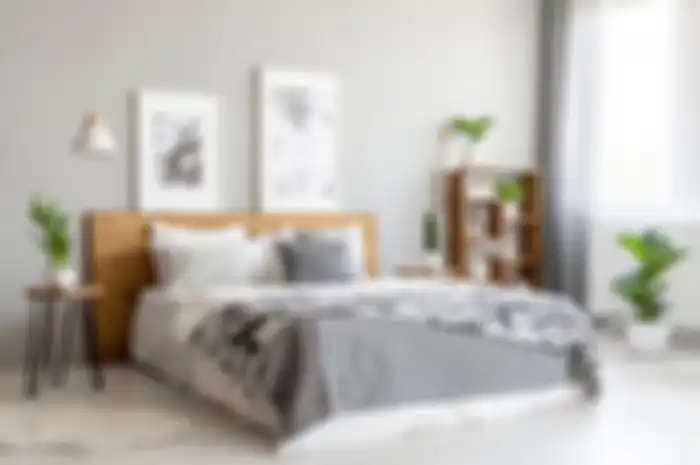 Ilustrasi kamar tidur, Ilustrasi tanaman hias di kamar tidur.(SHUTTERSTOCK/Photographee.eu) 