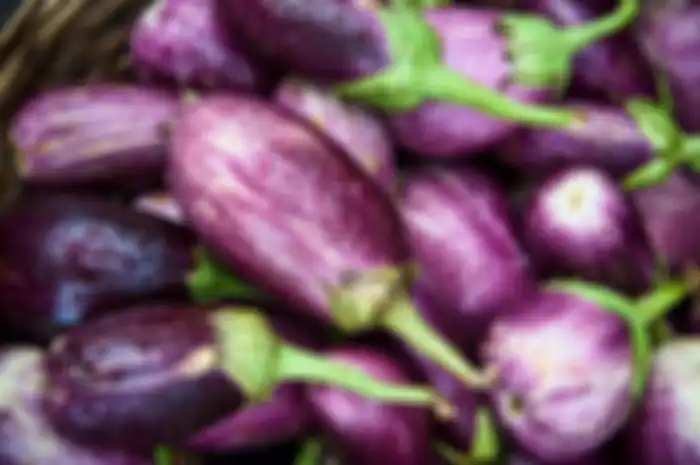 cara menyimpan terong agar tidak mudah keriput dan membusuk