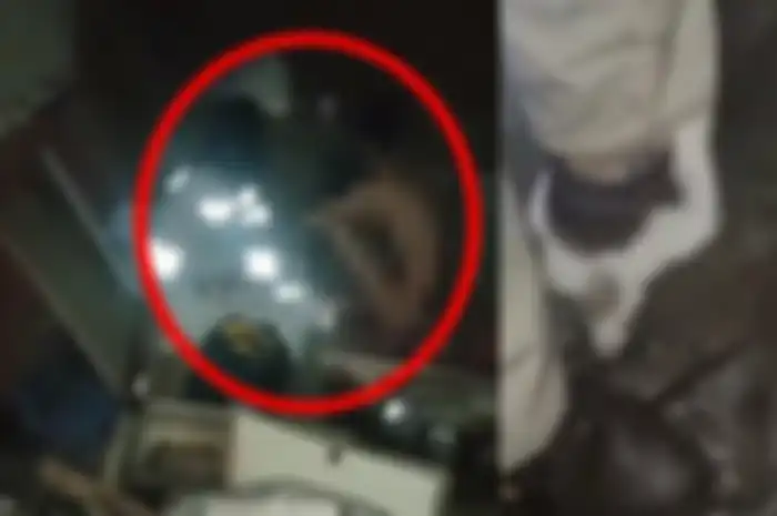Video memperlihatkan seorang wanita dan pria diduga kepergok mesum Viral di Medsos. Kejadian itu diduga terjadi di kawasan PT IMIP, Kecamatan Bahodopi, Kabupaten Morowali, Sulteng. 