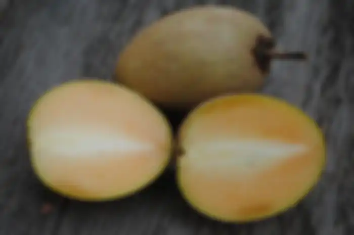 Aneka tips kecantikan yang bisa didapat dari buah sawo.