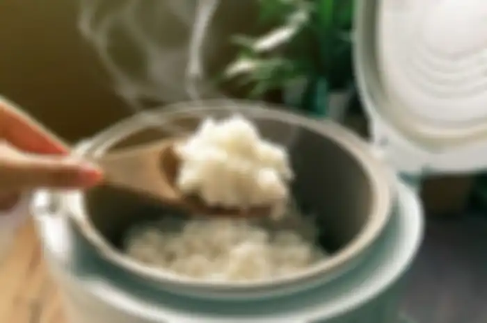 Ilustrasi nasi di rice cooker