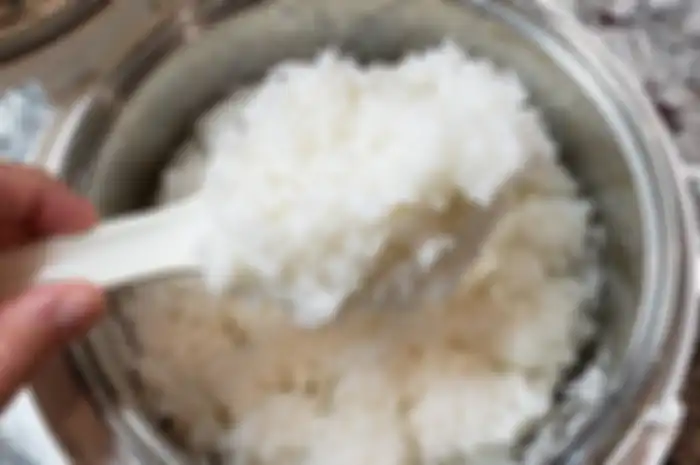 ilustrasi masak nasi dengan rice cooker