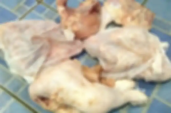 Daging ayam bakal gampang busuk walaupun dimasukkan kulkas kalau masih lakukan kebiasann ini