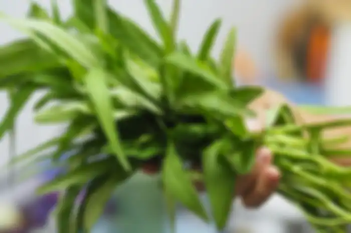 cara menyimpan kangkung agar tidak mudah layu