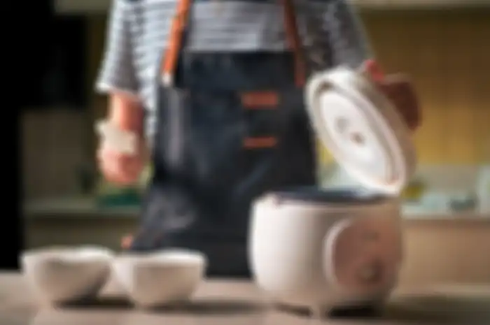 Ilustrasi rice cooker