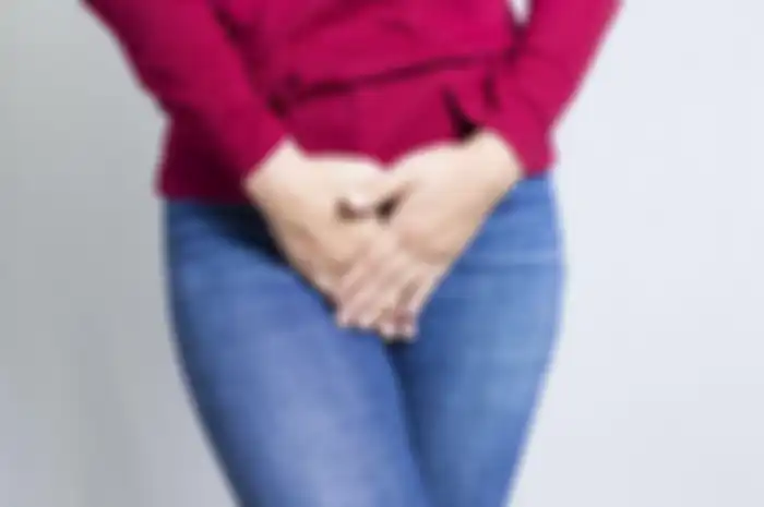 Ilustrasi vagina 