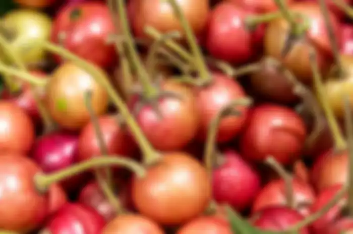 Buah kersen