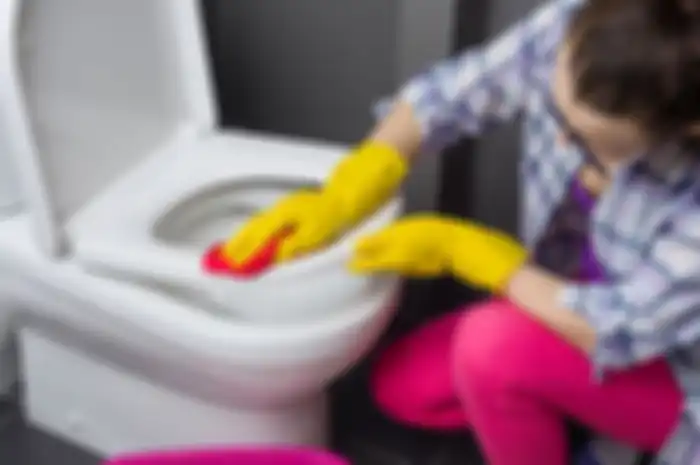 Cuma modal bahan alami bisa bebaskan dudukan toilet yang menguning