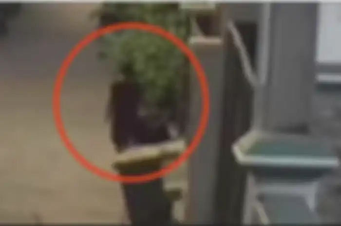 Mantan ART Dara Arafah nekat mencuri brankas Rp 800 juta bareng pacar. Tetangganya sebut pelaku punya kebiasaan begini.  