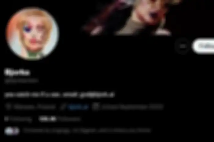 Deskripsi profil twitter Bjorka mencantumkan lokasi Warsawa, Polandia