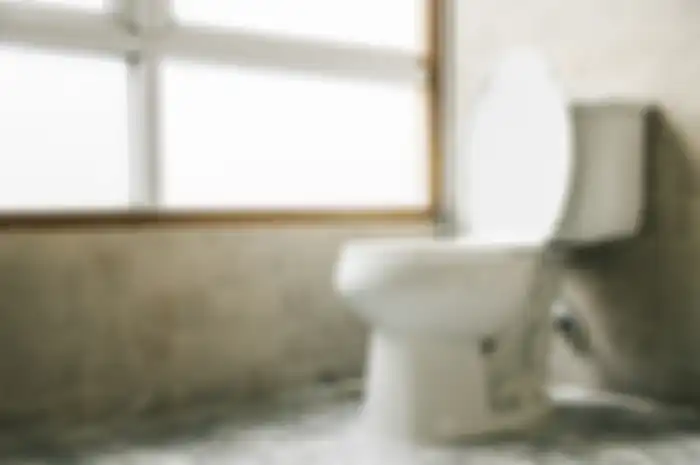 Aneka tips harian, begini cara atasi WC atau kloset mampet.