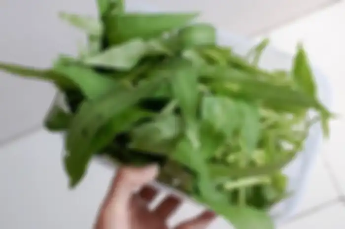 Kangkung