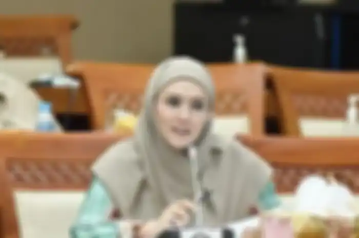 Mulan Jameela kritik kompor listrik, singgung masakan Indonesia.