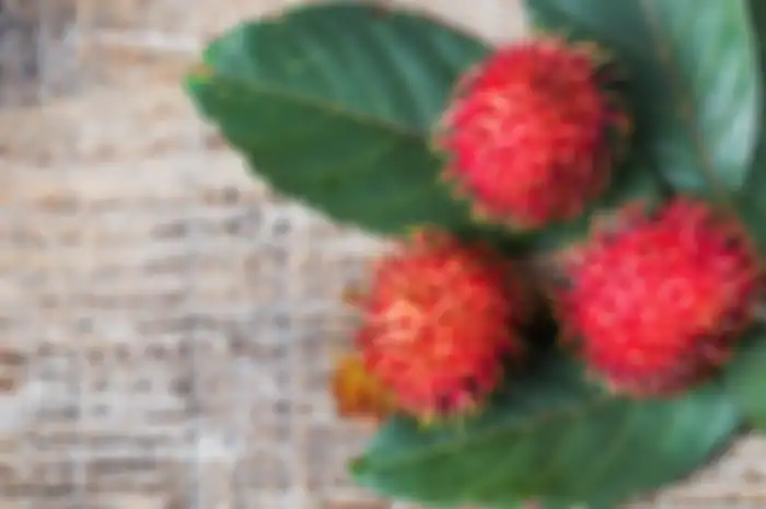 manfaat buah rambutan untuk kesehatan.
