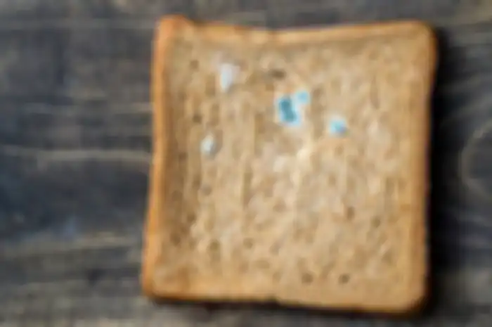 Jamur di roti sisa