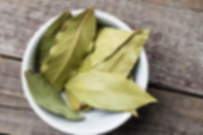Selain untuk memasak, daun salam juga bisa dipakai untuk menyembuhkan asam urat
