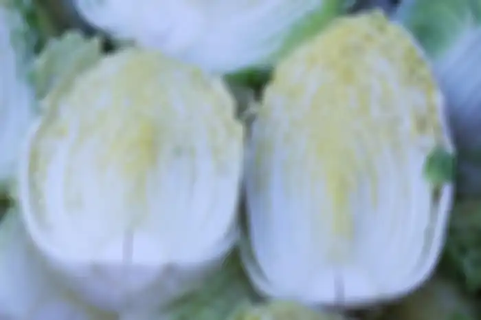 Aneka tips kesehatan, ternyata ini manfaat luar biasa dari sawi putih.