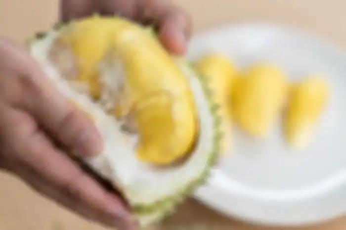 Ilustrasi buah durian