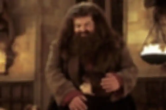 Potret Robbie Coltrane saat memerankan tokoh Rubeus Hagrid dalam Harry Potter.
