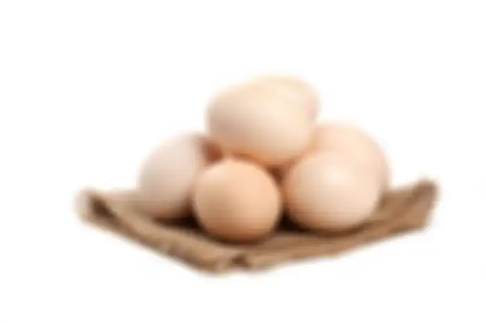 Ilustrasi telur 