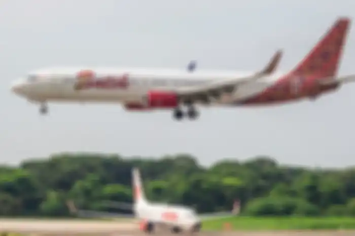 Maskapai Batik Air akhirnya buka suara memberikan penjelasan terkait insiden yang dialami Ari Lasso di Singapura.