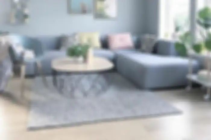 Ilmu feng shui mengatur desain ruang tamu menjadi seperti ini agar bisa membawa hoki masuk ke dalam rumah. 