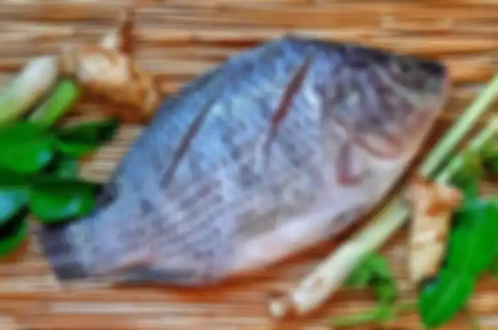 Tips hidup: manfaat ikan nila untuk kesehatan.