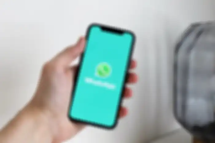 Ilustrasi WhatsApp Business