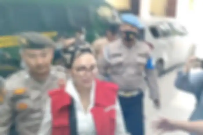 Sidang perdana terdakwa Nikita Mirzani atas kasus dugaan pencemaran nama baik digelar di Pengadilan Negeri Serang Banten, Senin (14/11/2022). 