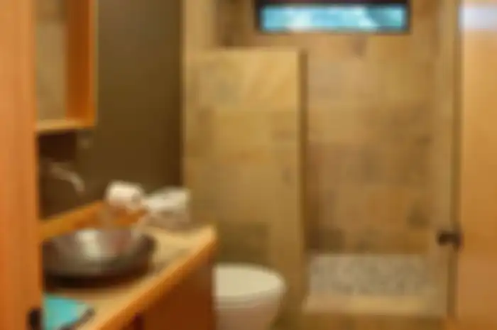 Desain kamar mandi sempit sengaja ditambahi ornamen ini agar menghadirkan rasa nyaman. Foto aplikasinya banyak ditiru.