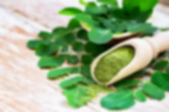 Daun kelor 