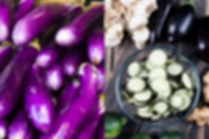 Aneka tips harian, begini cara memilih terong yang bagus.