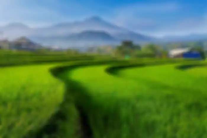 Gerakan Menuju Smart City 2022 diharapkan dapat meningkatkan ekonomi warga, termasuk warga Kecamatan Trawas di Kabupaten Mojokerto, Jawa Timur