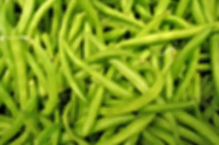 Aneka tips kecantikan, begini cara menghilangkan uban dengan buncis.