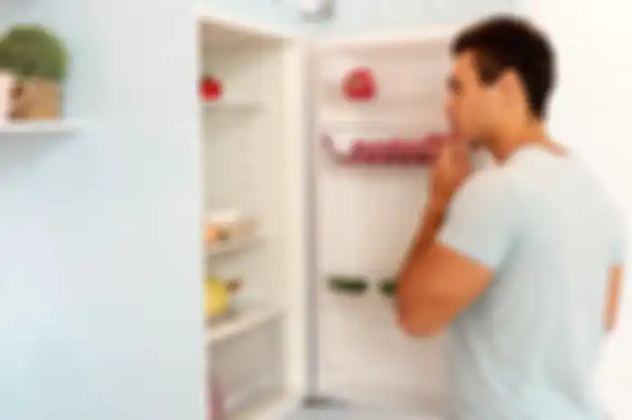 Ilustrasi Freezer kulkas