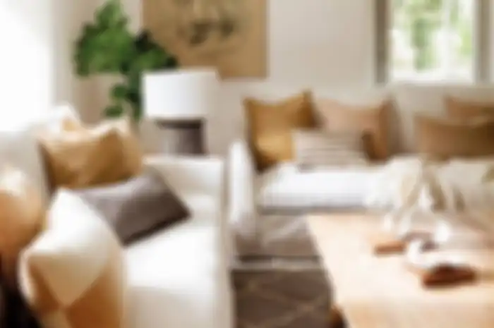 Rupanya Bantal Bisa Jadi Kunci Tampilan Estetik Sofa dan Ruang Tamu Anda, lho, Gini Caranya!
