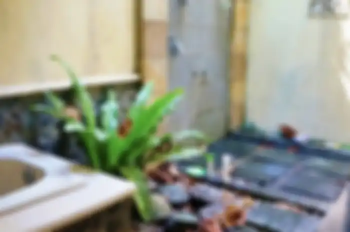 Begini desain kamar mandi terbuka di rumah minimalis yang mungkin diminati pemilik hunian. Foto dekorasinya bikin rileks.