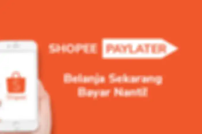 ilustrasi shopee paylater