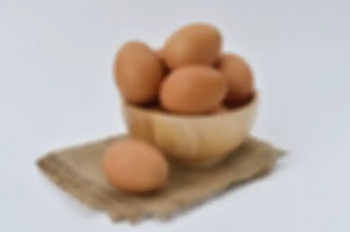 Ilustrasi telur